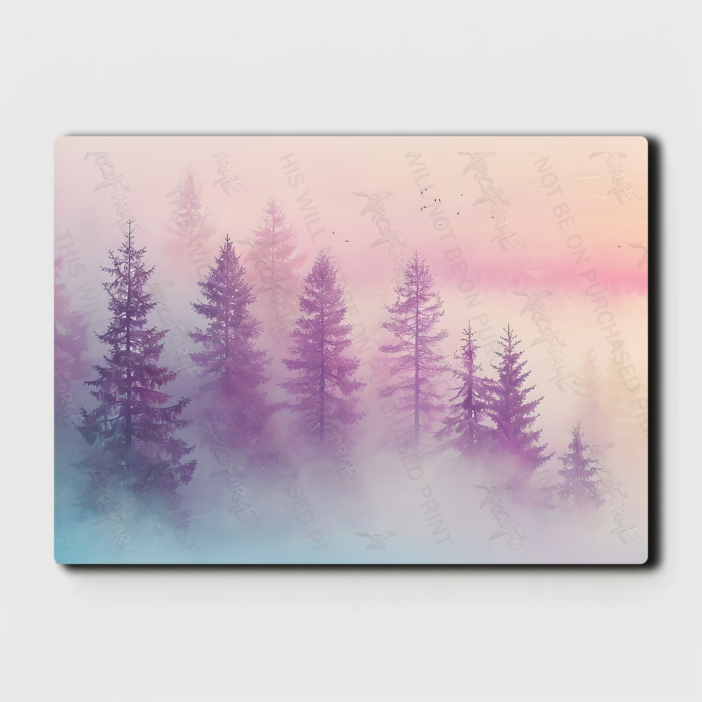 Misty Evergreen Forest Landscape
