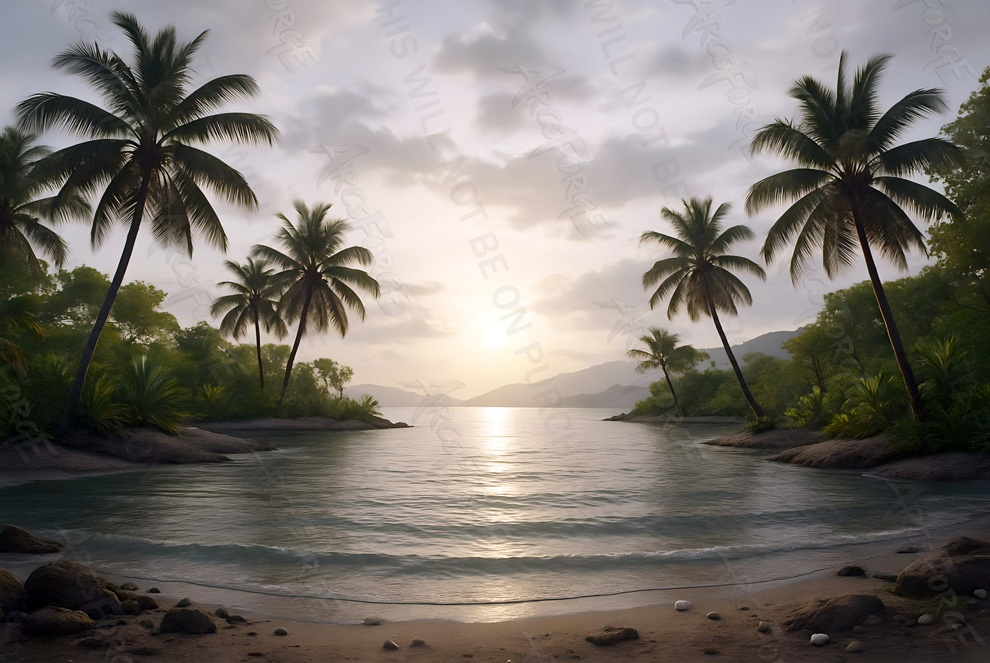 Tropical Island Sunset Beach Palm Trees