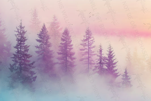 Misty Evergreen Forest Landscape