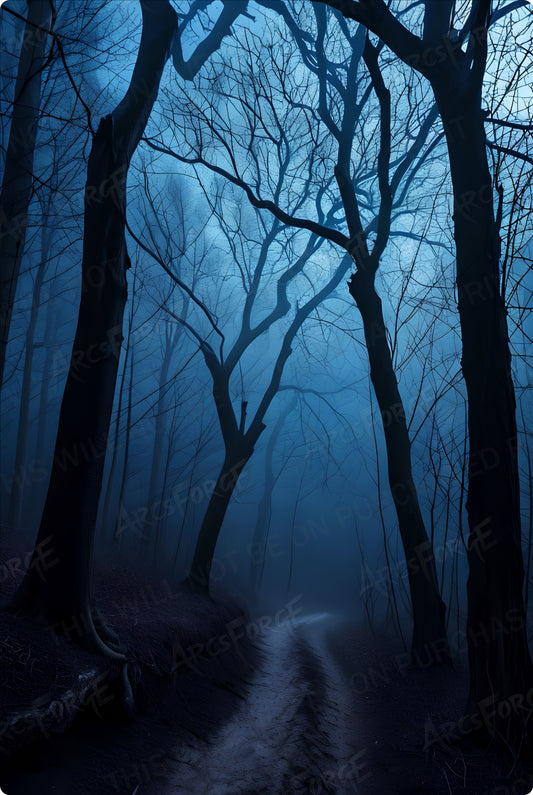 Mystical Dark Forest HD Metal Print Darkness Nature Landscape Wall Art 12x18