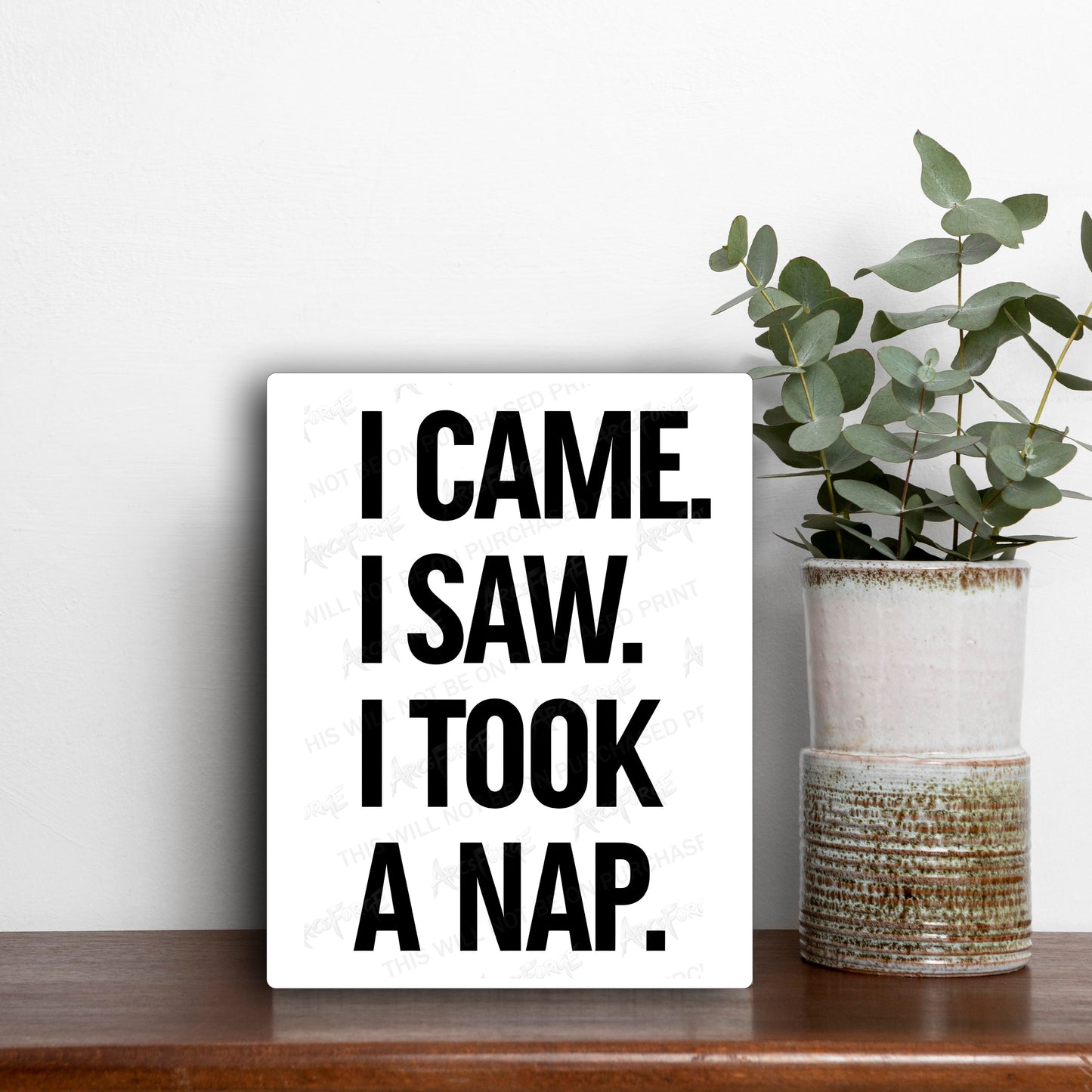 I Came I Saw I Took a Nap